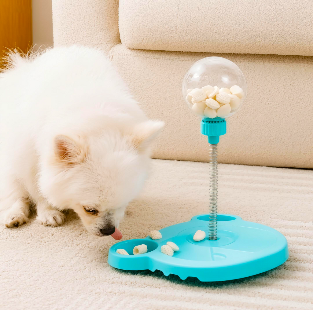 Pet snack toy