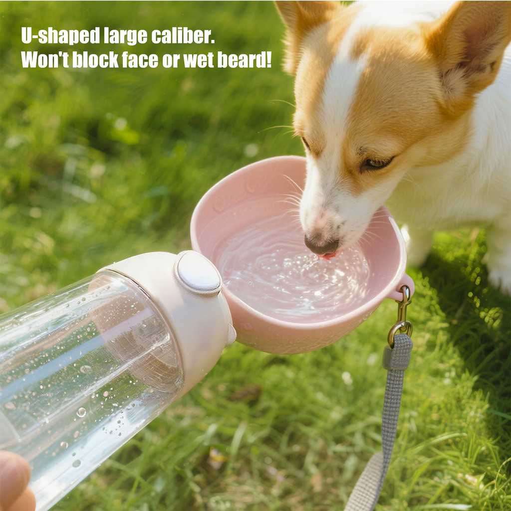 Pet outdoor drinking cup