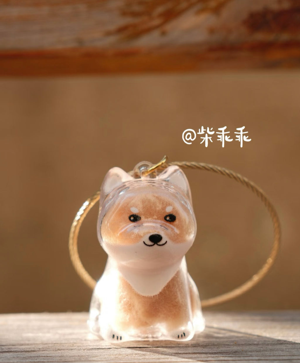 Pet hair collection pendant