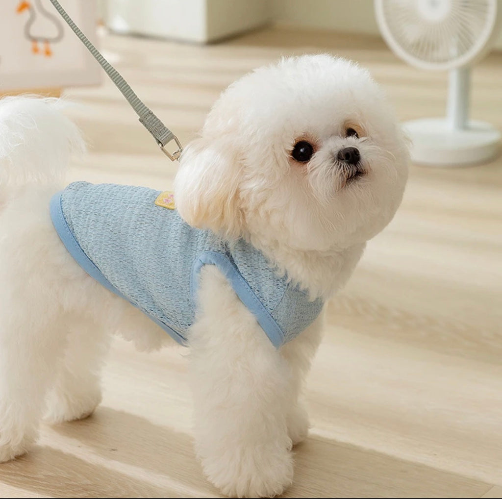 Pet clothes