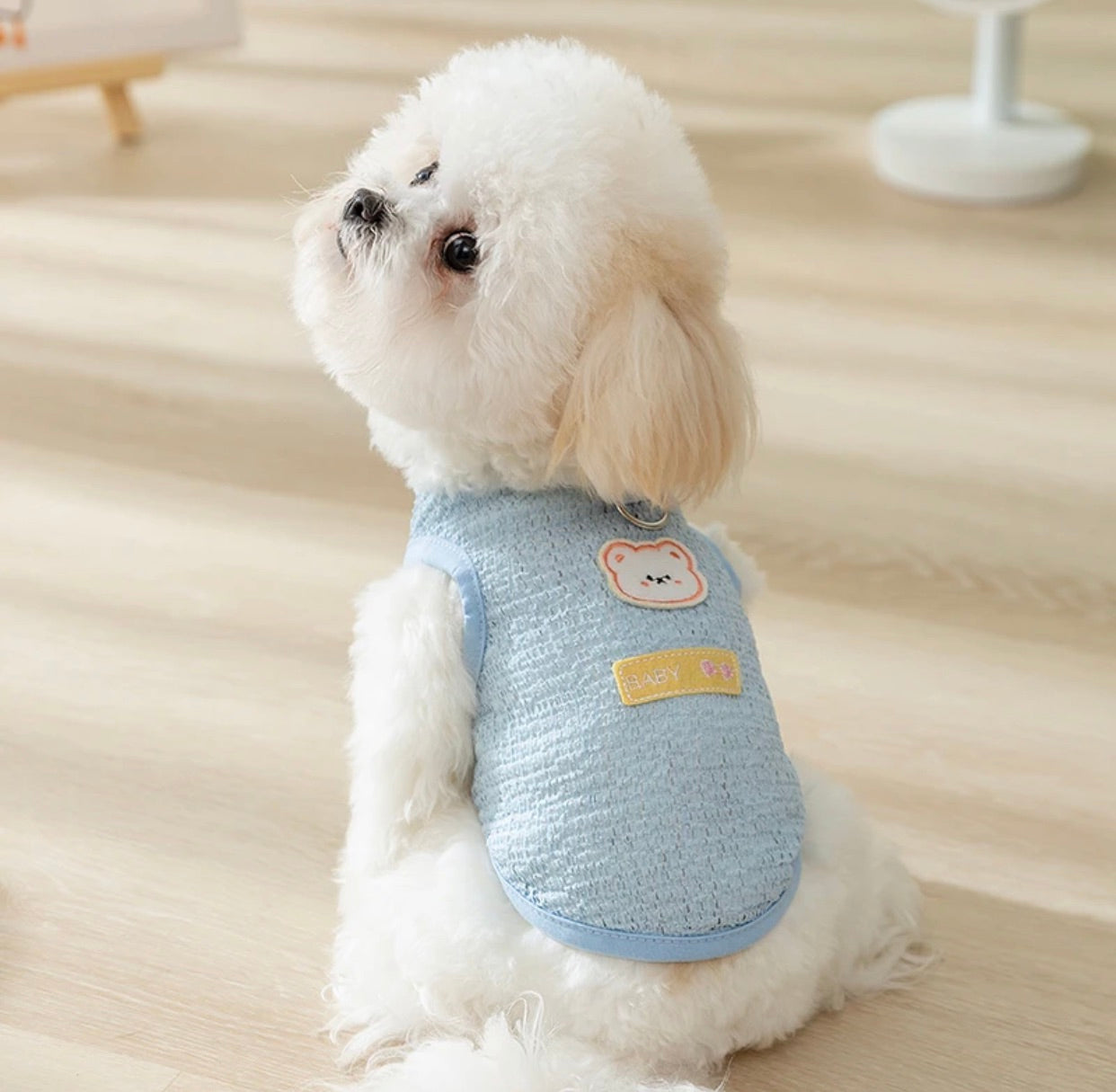 Pet clothes